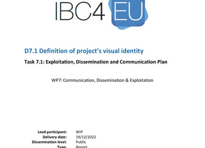 Definition of project’s visual identity