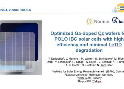 Optimized Gadoped Cz wafers for POLO IBC solar cells